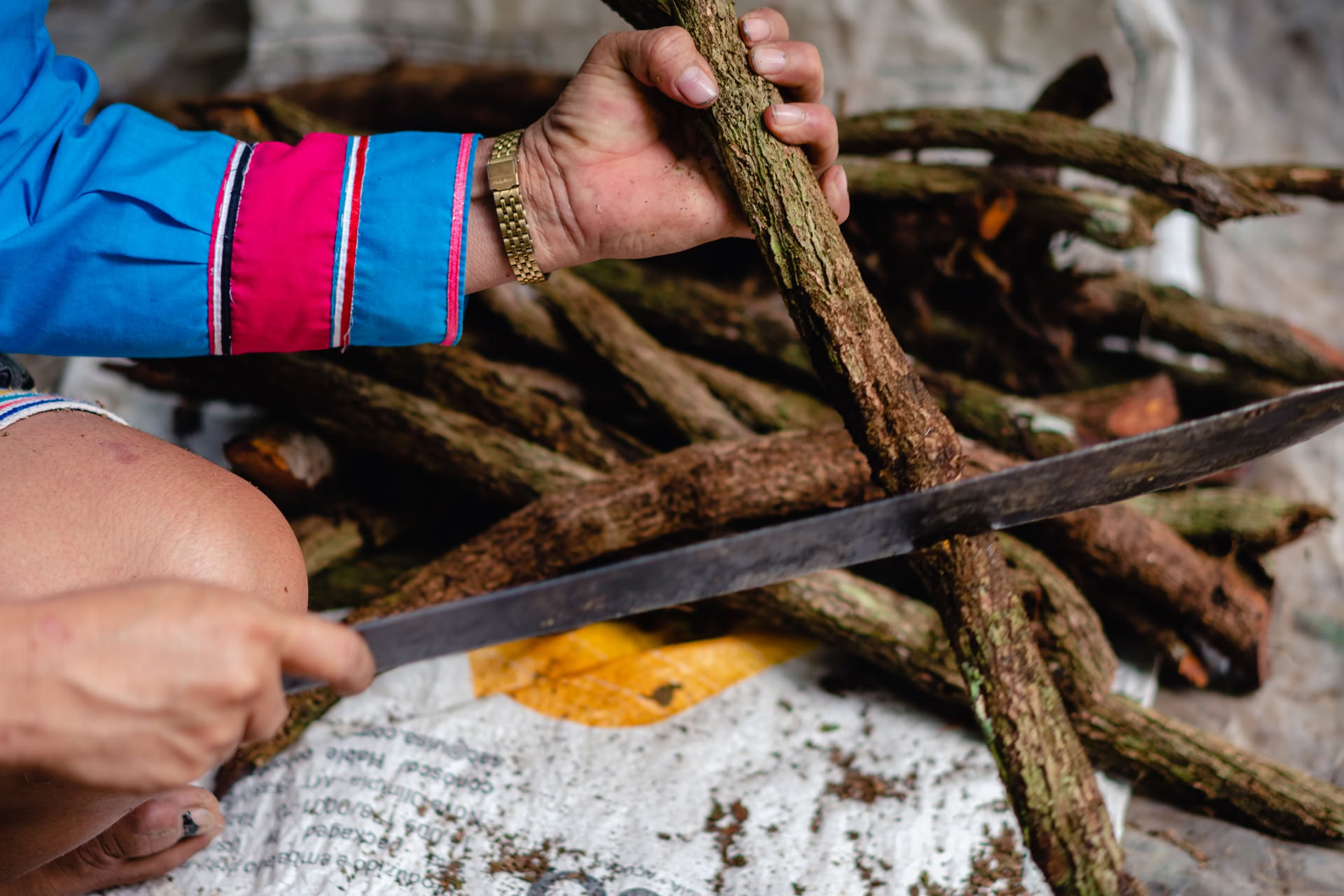 Ayahuasca August 2026 Ritiro di Rinnovamento (12 Giorni)