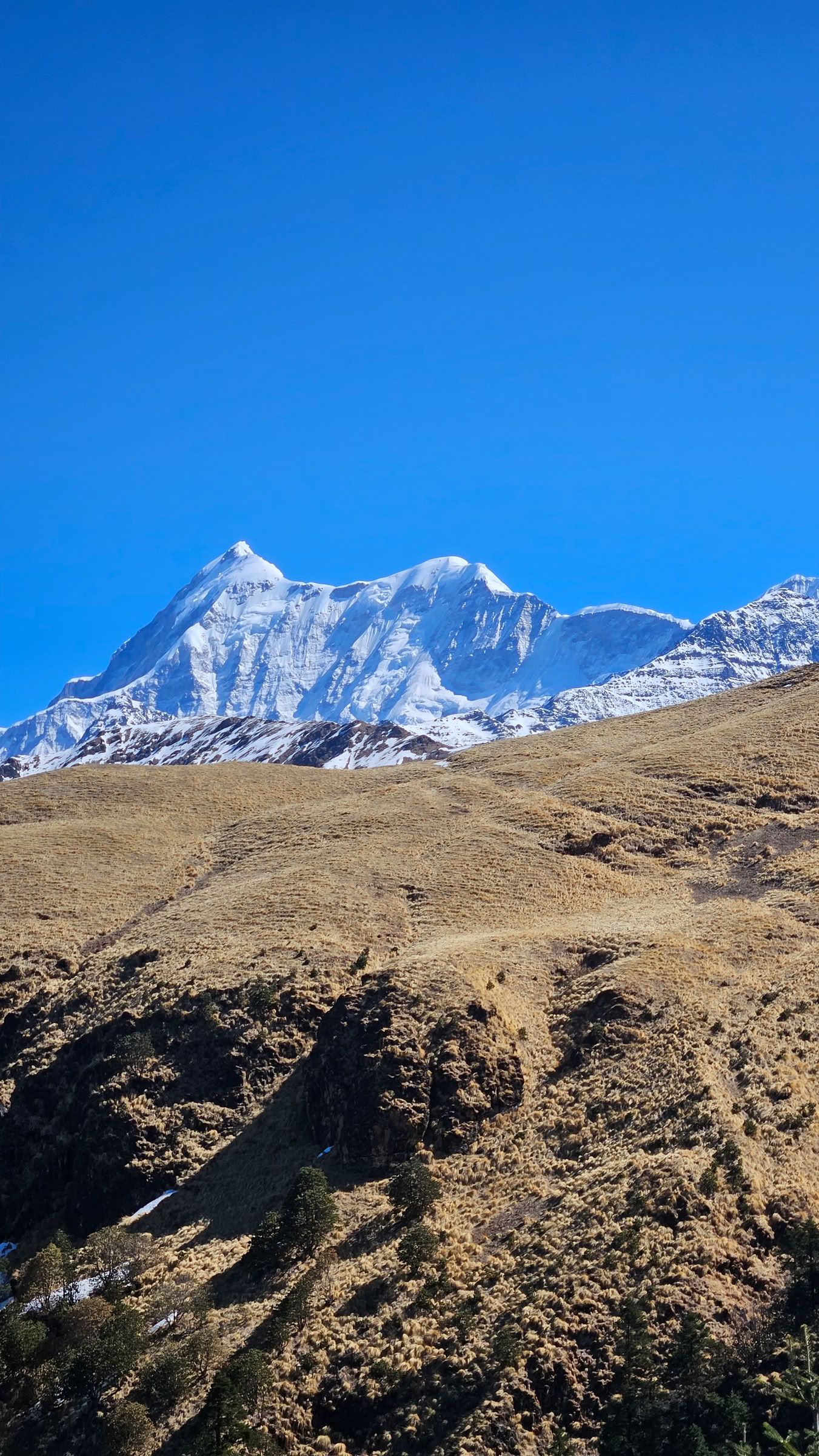 Trekking a Bedni Bugyal – dal 9 al 13 luglio 2026
