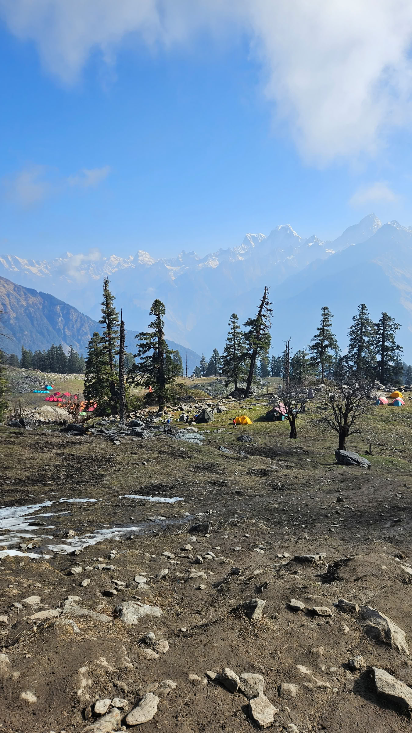 Trekking a Bedni Bugyal – dal 9 al 13 luglio 2026