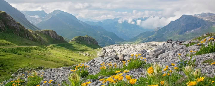 Trekking nella Valle dei Fiori