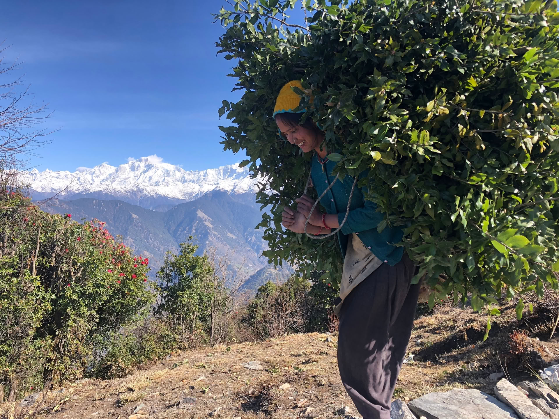 Trekking Chopta-Tungnath