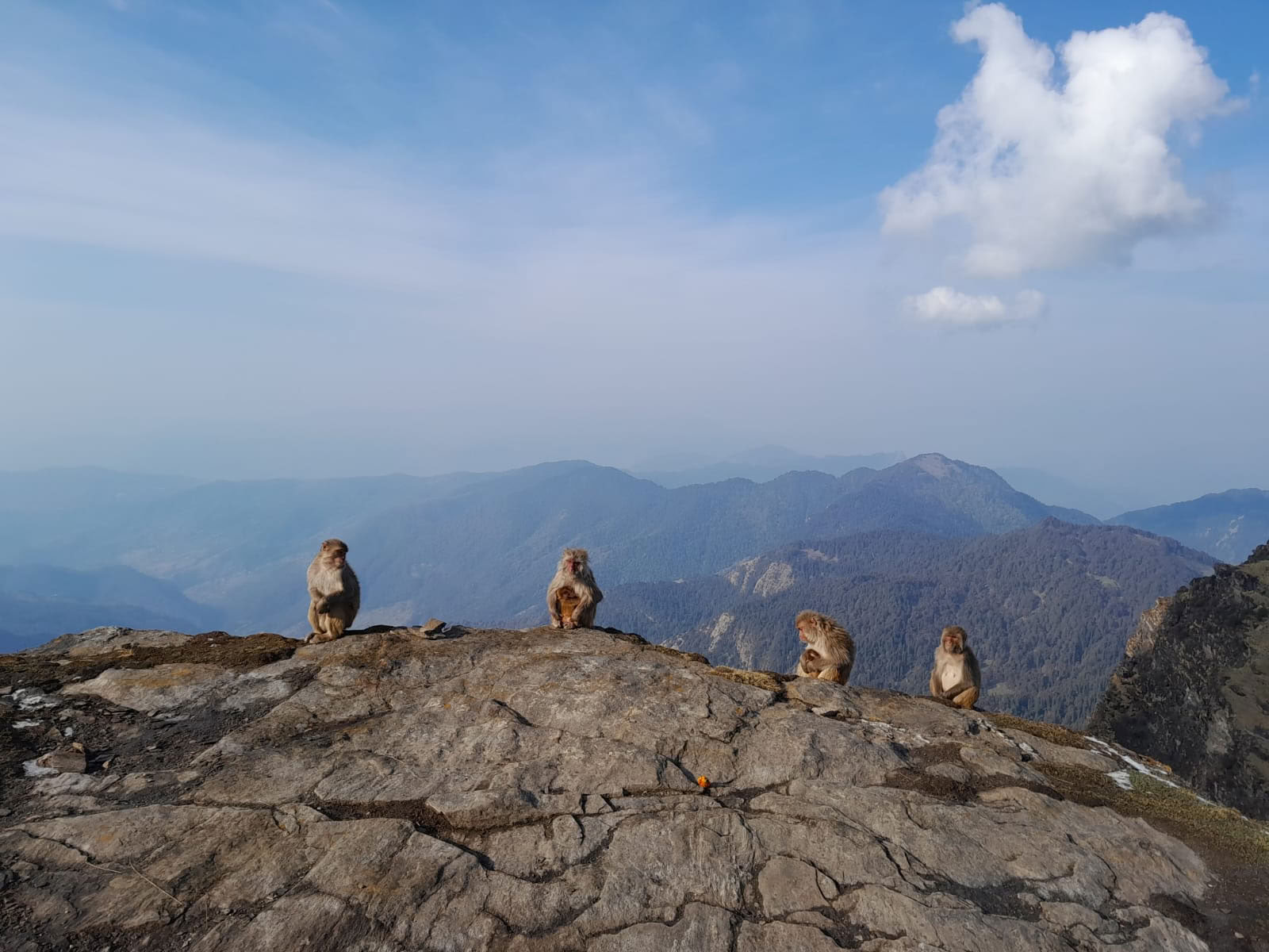Trekking Chopta-Tungnath