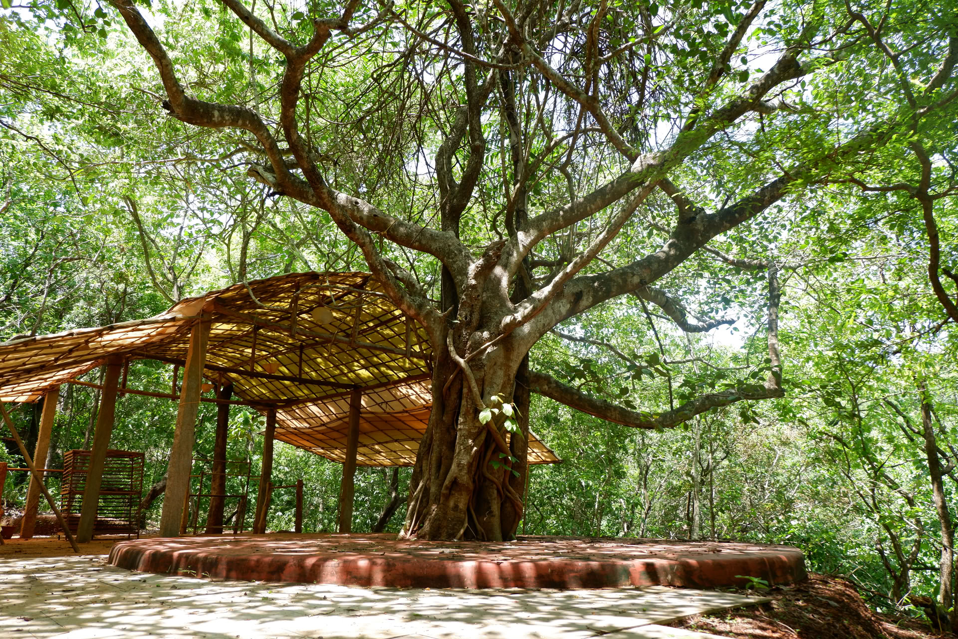Saundarya Yoga Ritiro