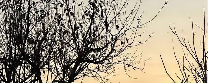 Movimento Raindrop