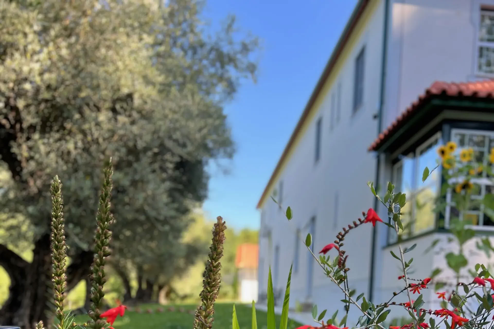Ritiro per la giornata della menopausa