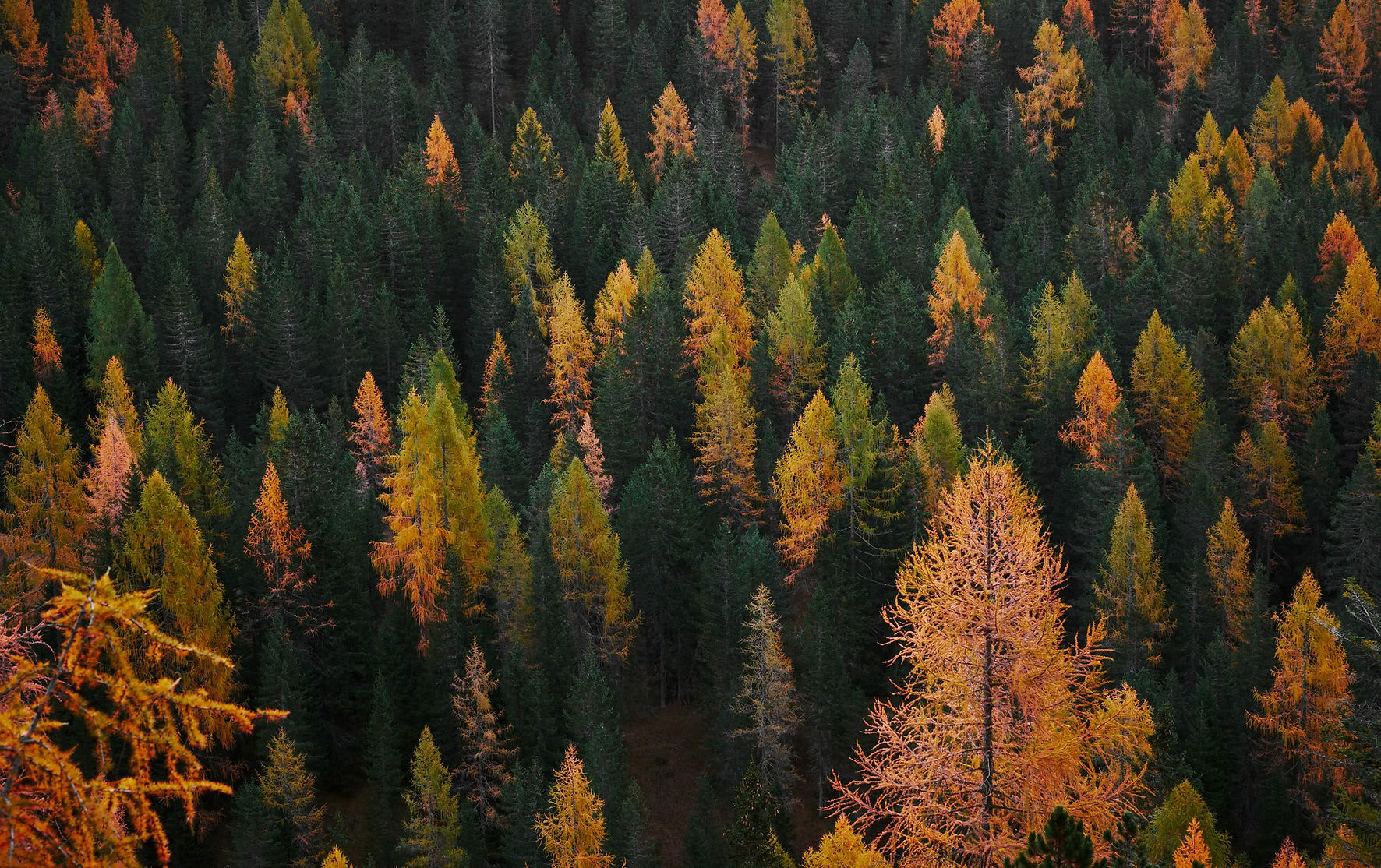 Ritiro della Terra