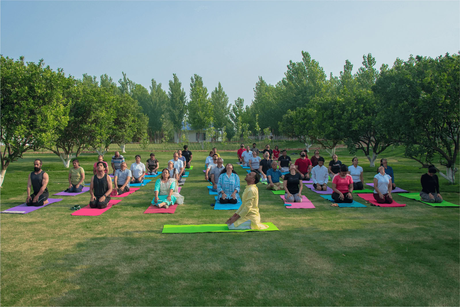 Yog-Vipassana Ritiro in luglio 2026