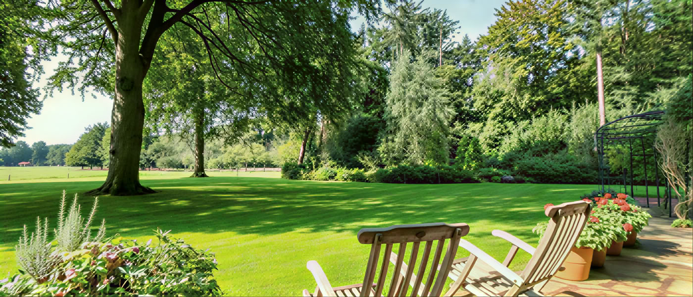Yoga retreat nei Paesi Bassi: 3 giorni di beatitudine