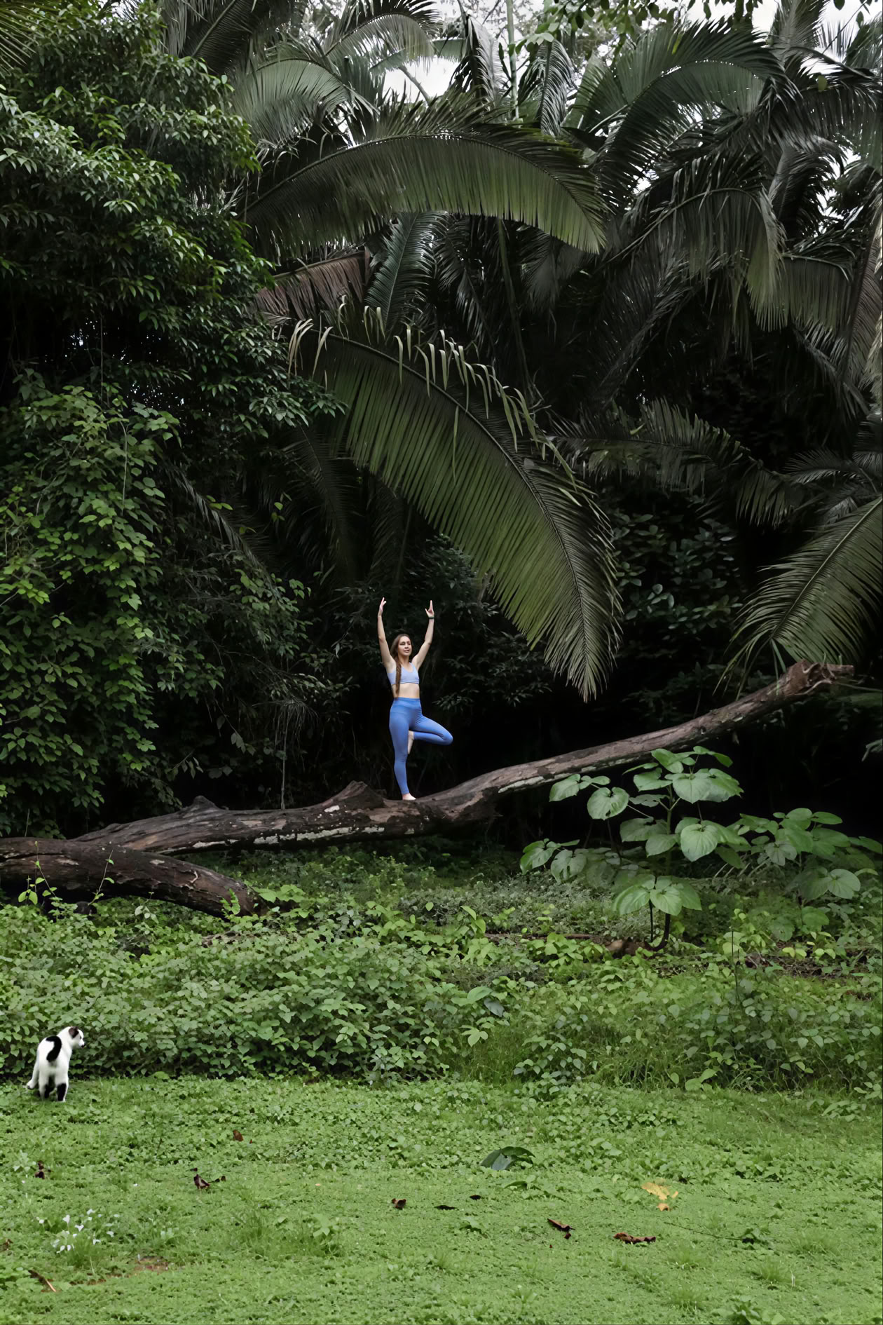 Ritiro di Yoga nella Foresta Pluviale