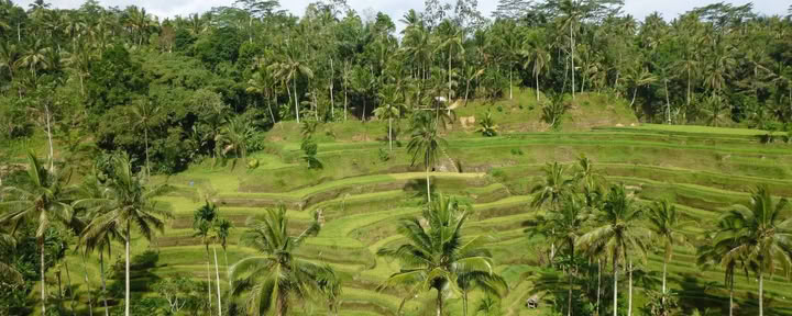 Me-Time. My Way. Ritiro Wellness a Bali