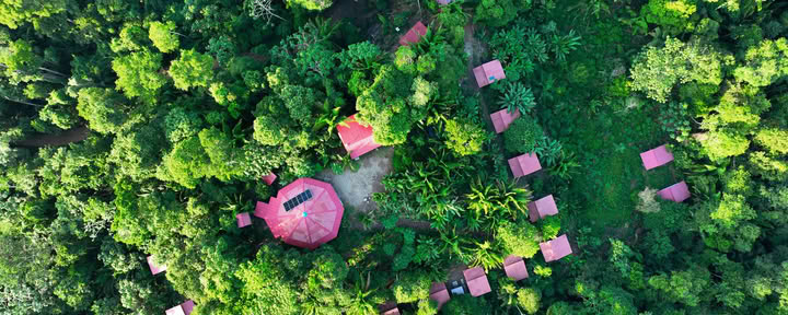 Ritiro Ayahuasca Pucallpa
