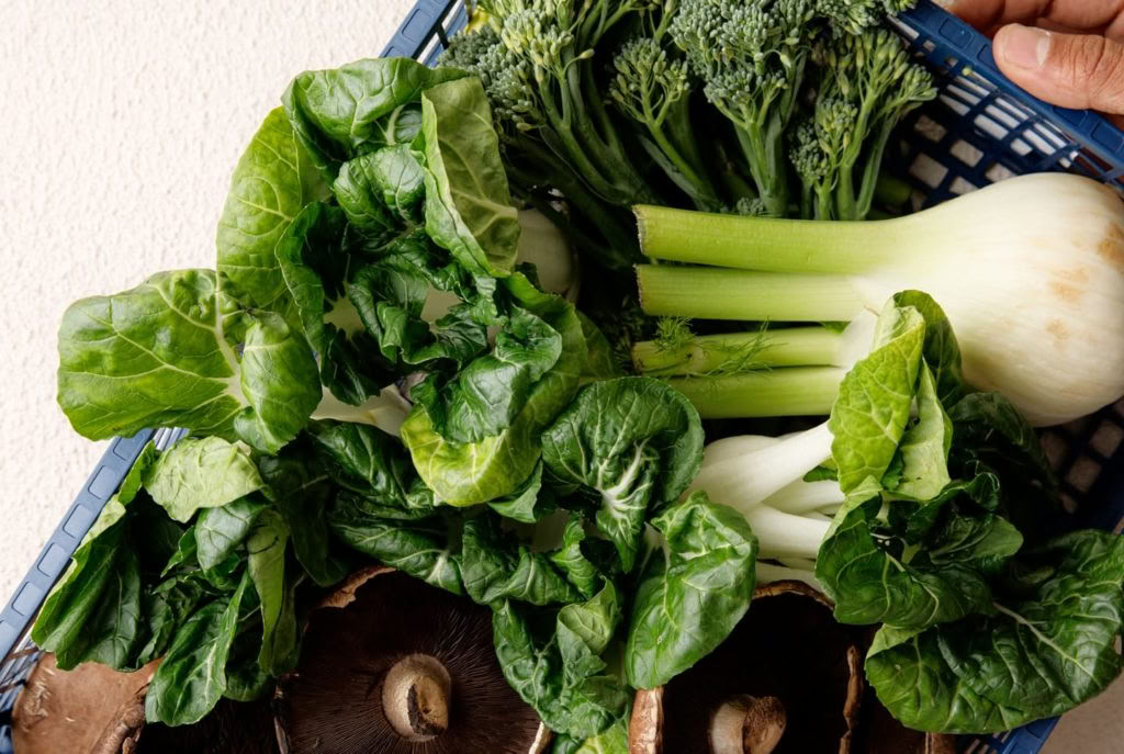 Programma di Detox Olistico