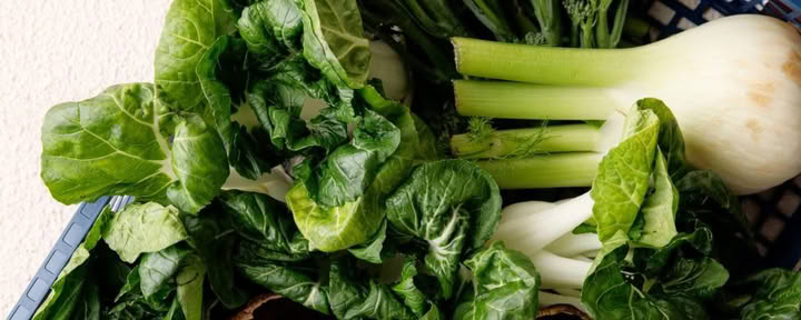 Programma di Detox Olistico