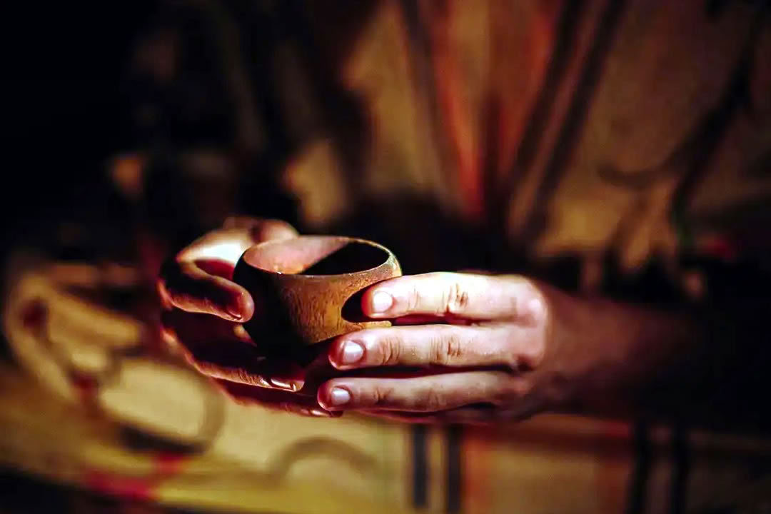 Ritiro di Ayahuasca per Gay e LGBTQ