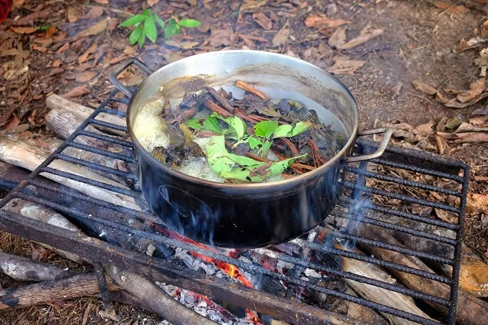 12 giorni di ritiro di Ayahuasca in Perù presso Selva Madre