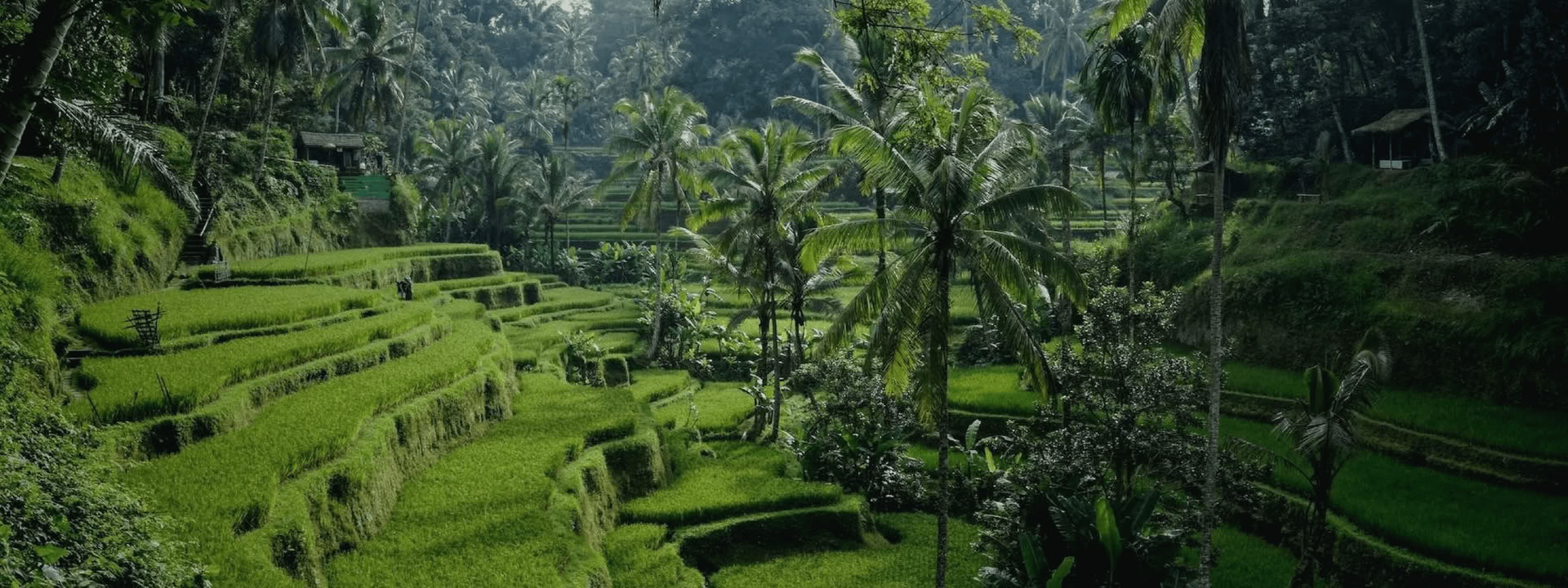 Bali Bound: Viaggio verso la pace interiore