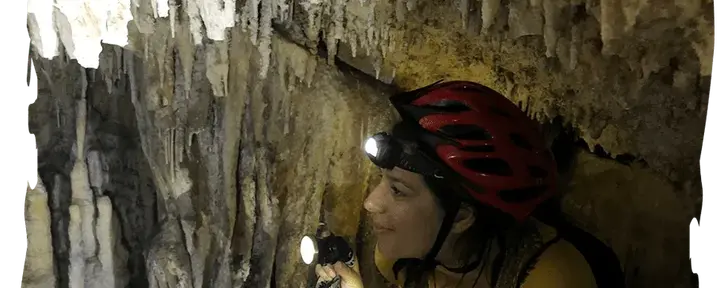 Nella Natura Selvaggia esp
