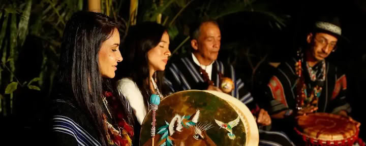 Ritiro tradizionale di Ayahuasca in Austria 3 giorni