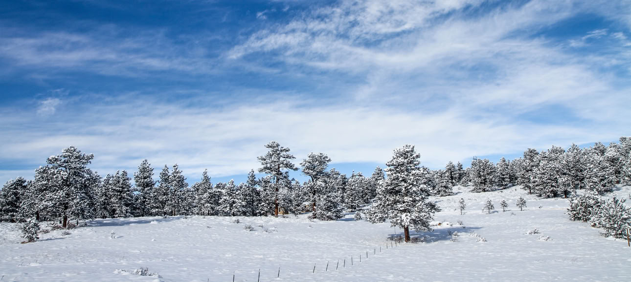 Healing with Nature: Un ritiro per il solstizio d’inverno