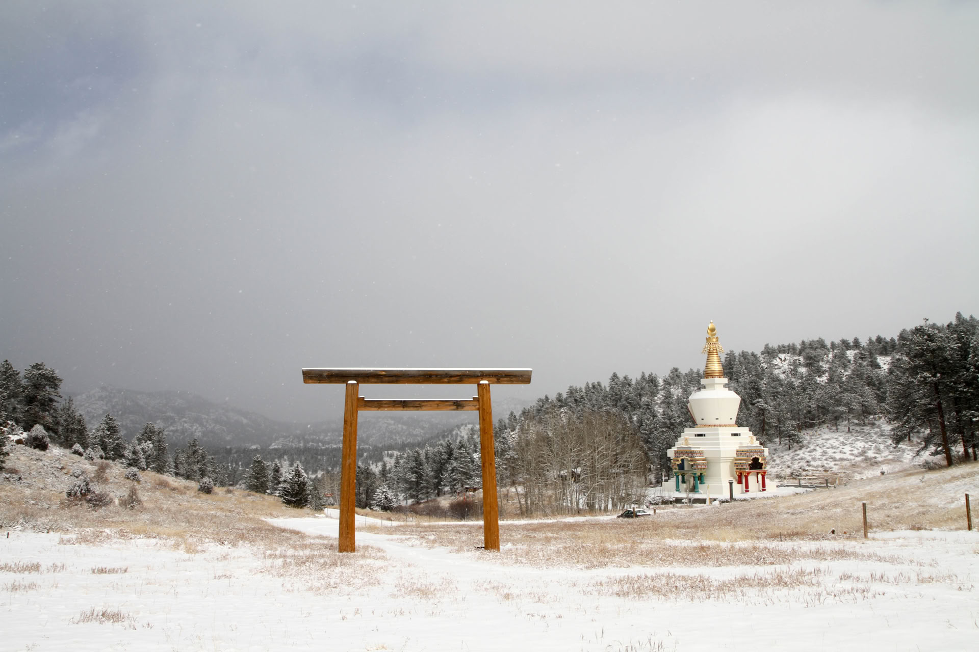 Finding Calm and Insight Through the Breath: Un ritiro di meditazione guidata