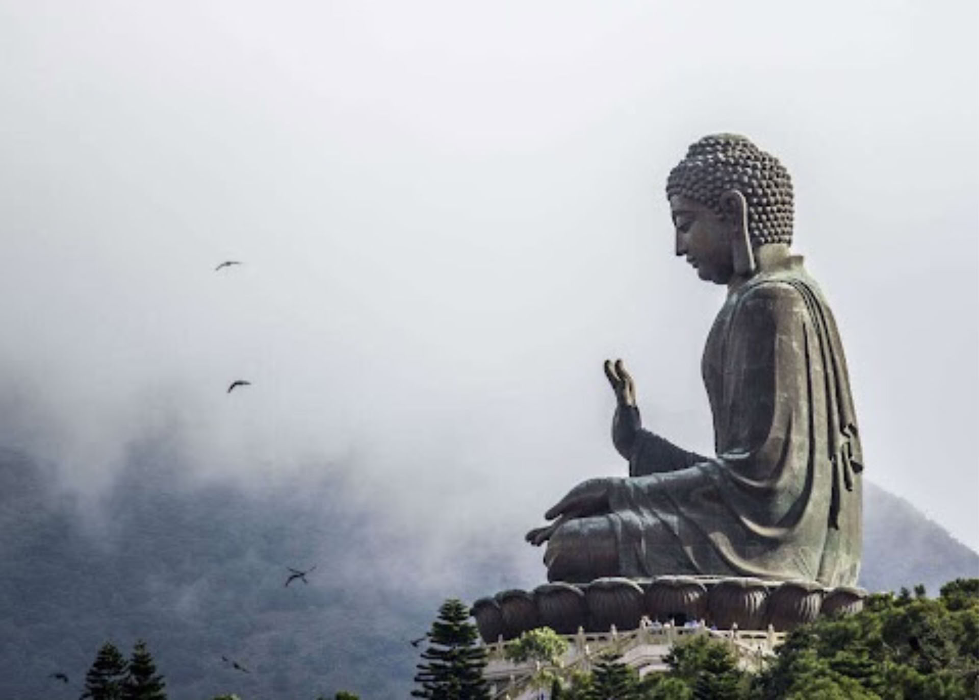 Fondamenti della Meditazione II: Approfondire il Cammino | 2026