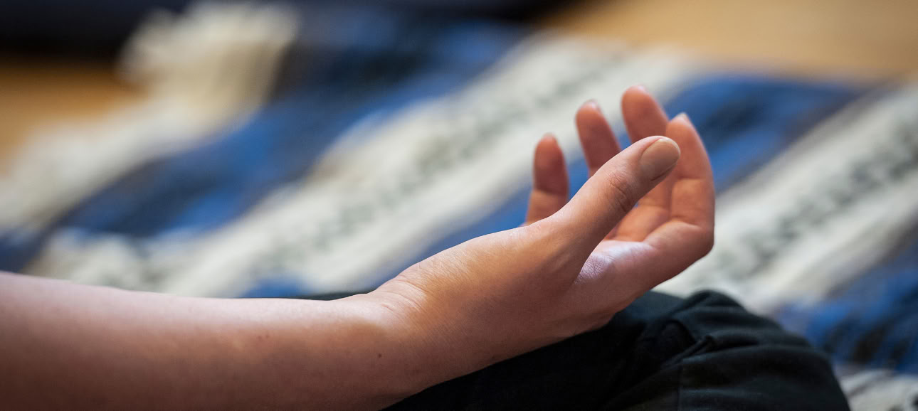 Fondamenti della meditazione I: stabilire le basi