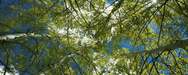 Reframe: Te stesso, gli altri e il mondo con la pratica filosofica e spirituale