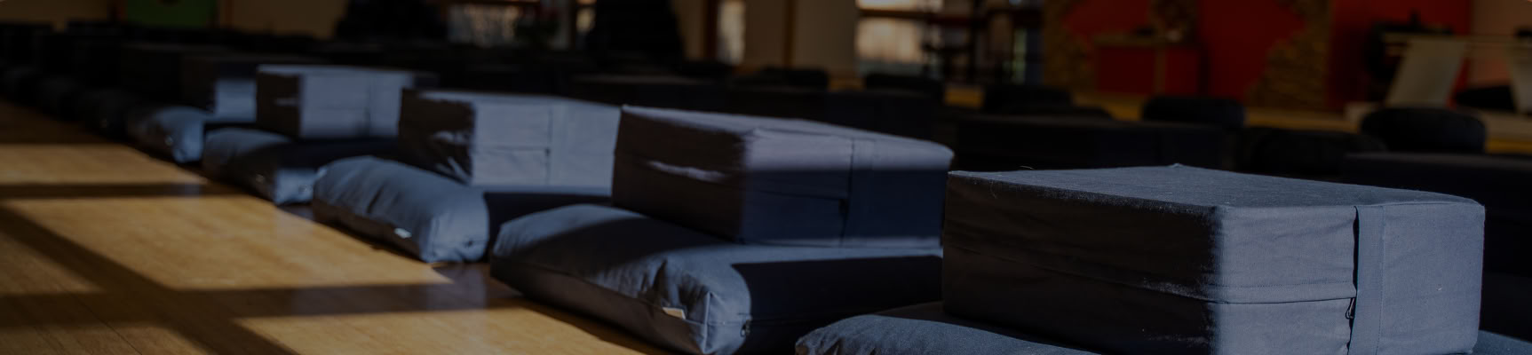 Mindfulness sul Cuscino e Oltre