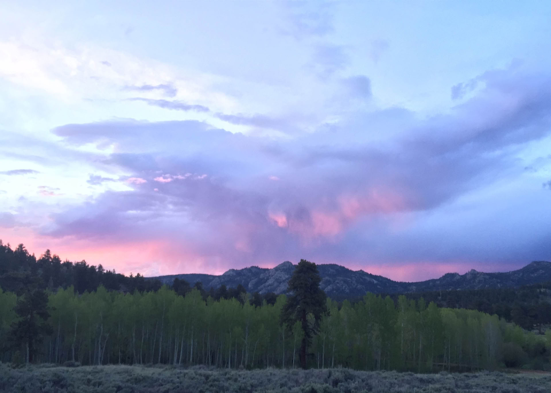 Reset, Rise, e Reconnect: Un viaggio Kundalini verso il tuo vero sé