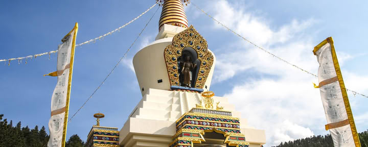Le Madri Fondatrici del Buddhismo: Storie di Coraggio, Compassione e Leadership
