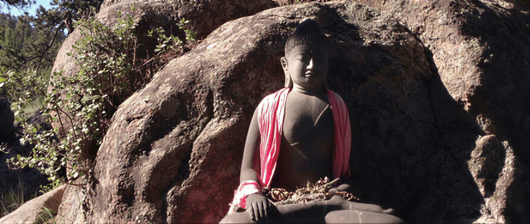 Proclamare la sana normalità di base: vivere il sentiero del Bodhisattva