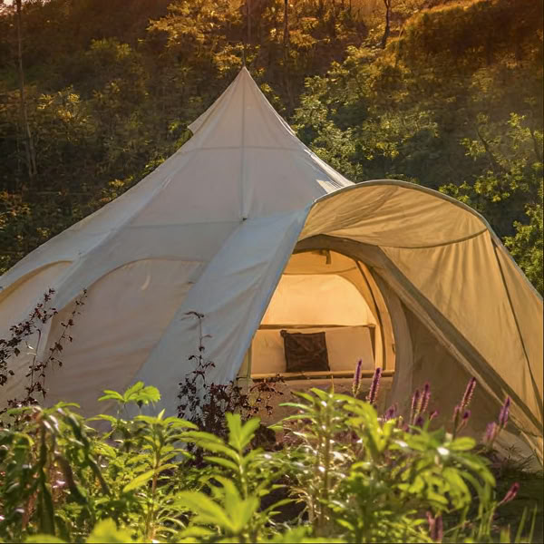 Ritiro intimo di Ayahuasca | Kinkara, Costa Rica | 11 - 17 luglio 2026