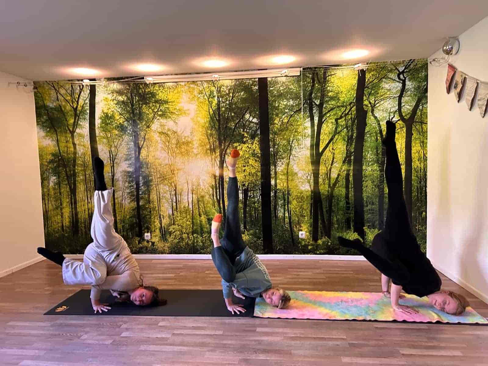 100 ore di formazione sull'equilibrio sulle braccia Germania