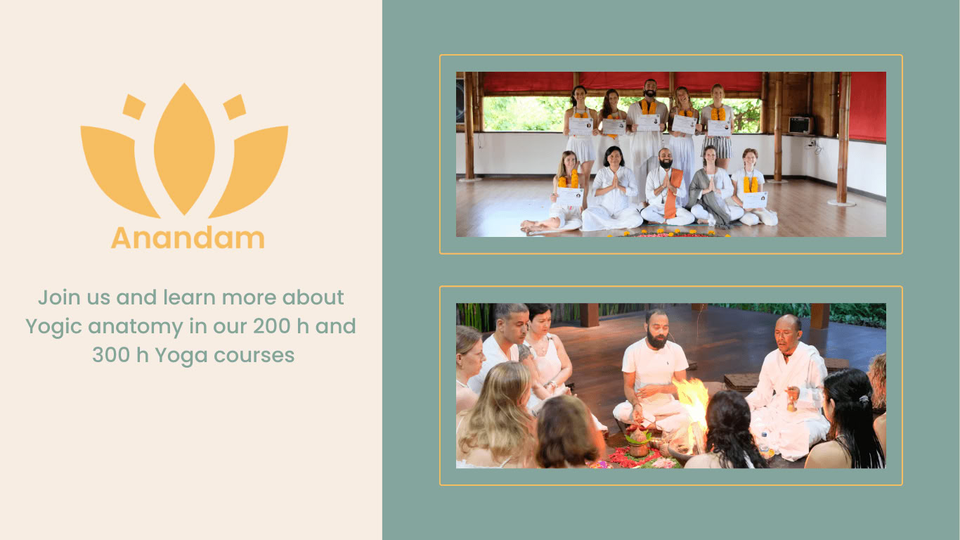 50 ore di formazione Pranayama Germania