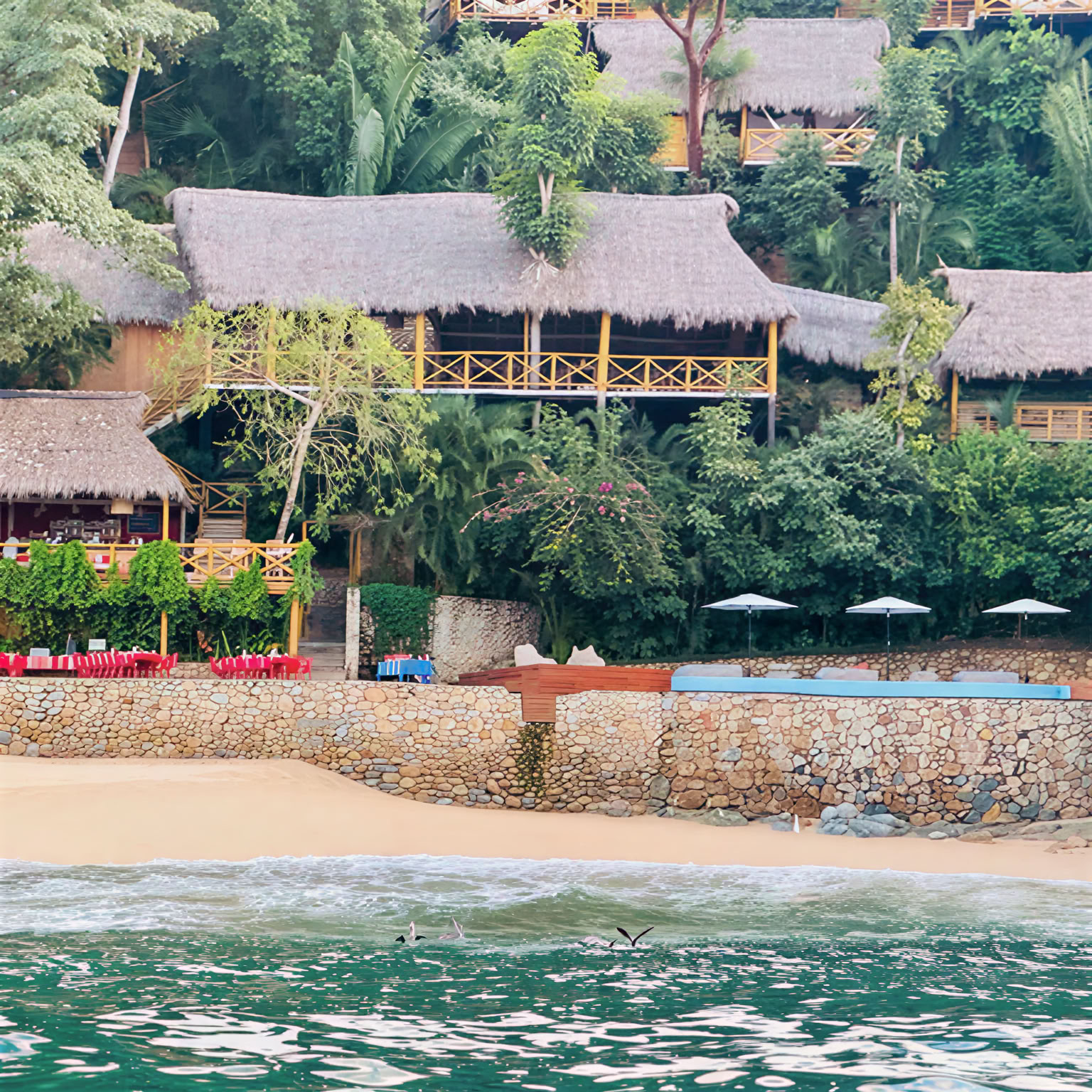 Nia + Yoga Revive Ritiro con Jill Factor e Kelle Rae Oien