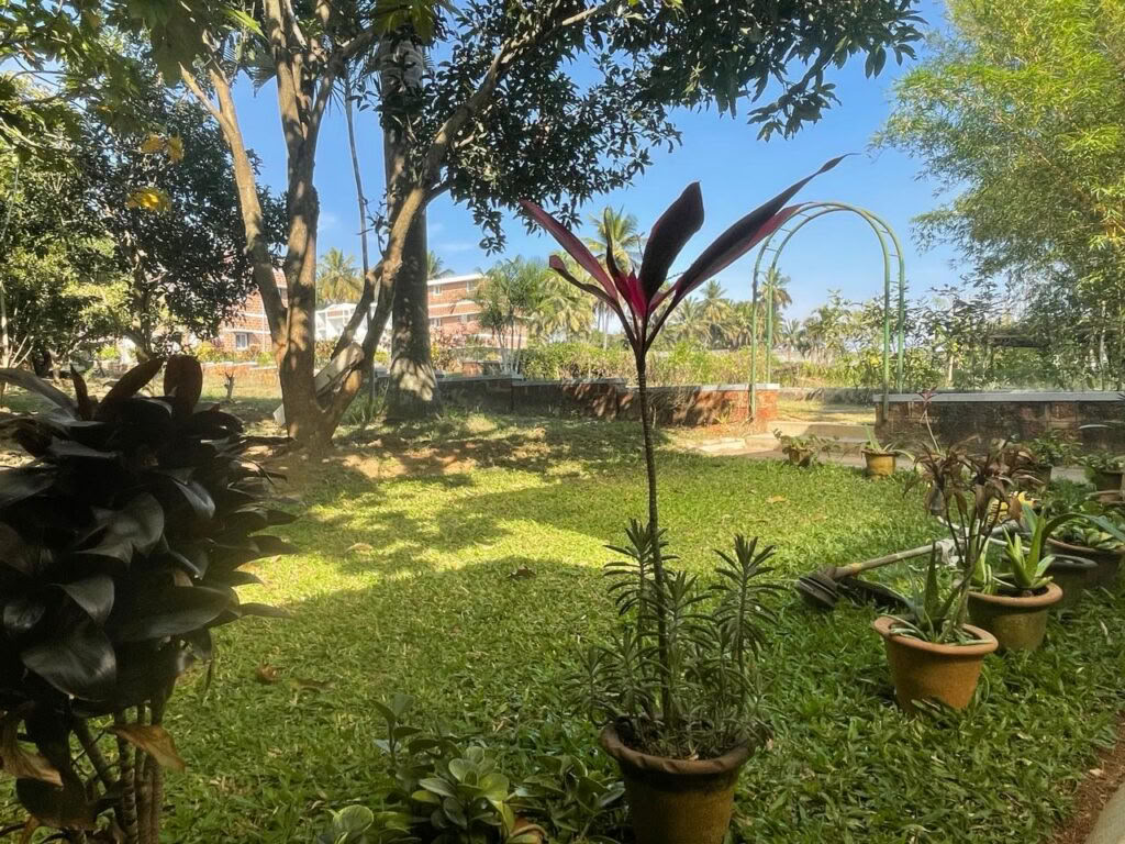 Brahma Mouna SILENCE & WELLNESS ritiro