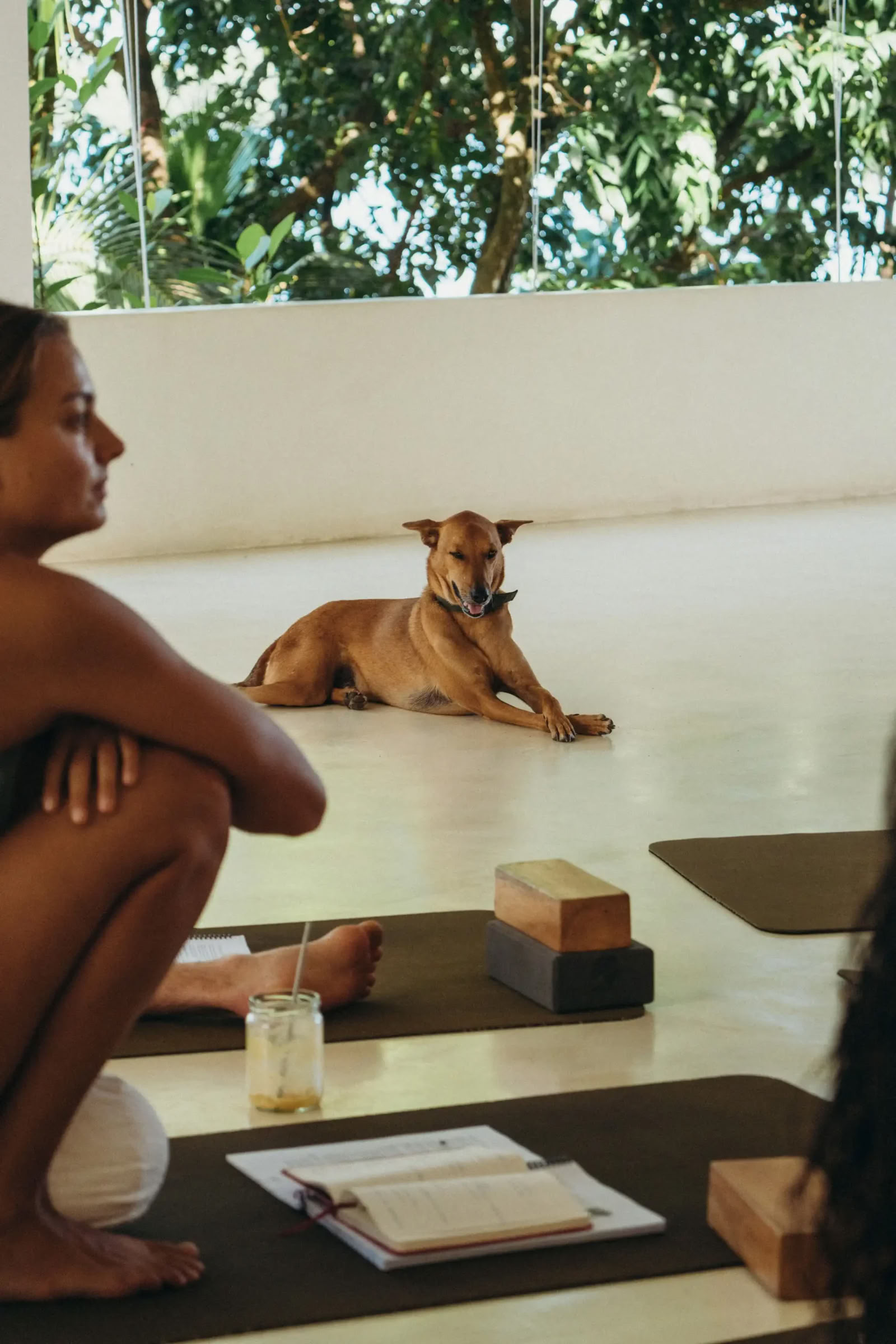 Synergy Vinyasa Yoga Ritiro at Lanka Yoga