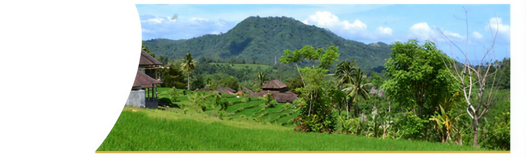 Settimana di guarigione a Bali