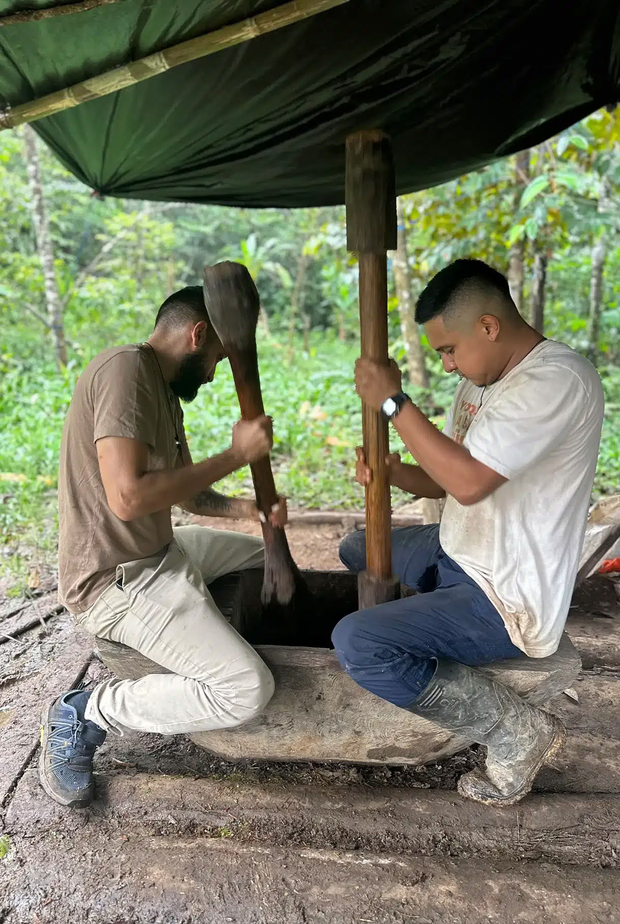 Medicine Maker Ritiro di Ayahuasca con Taita Miguel