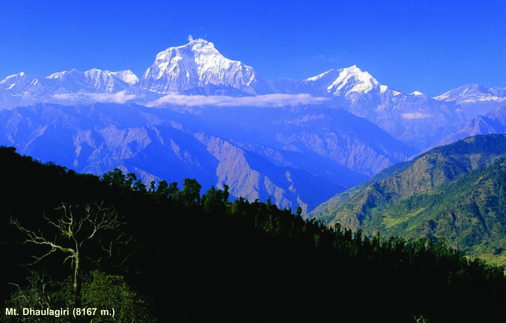Machhapuchhre Trek e Esplorazione dell'Himalaya 11 Giorni