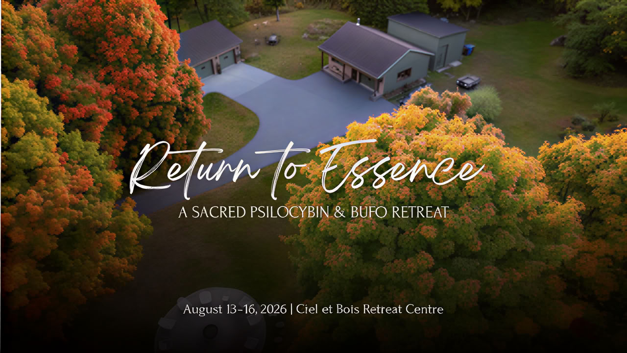 Return to Essence ~ Un Sacro Ritiro di Psilocibina e Bufo