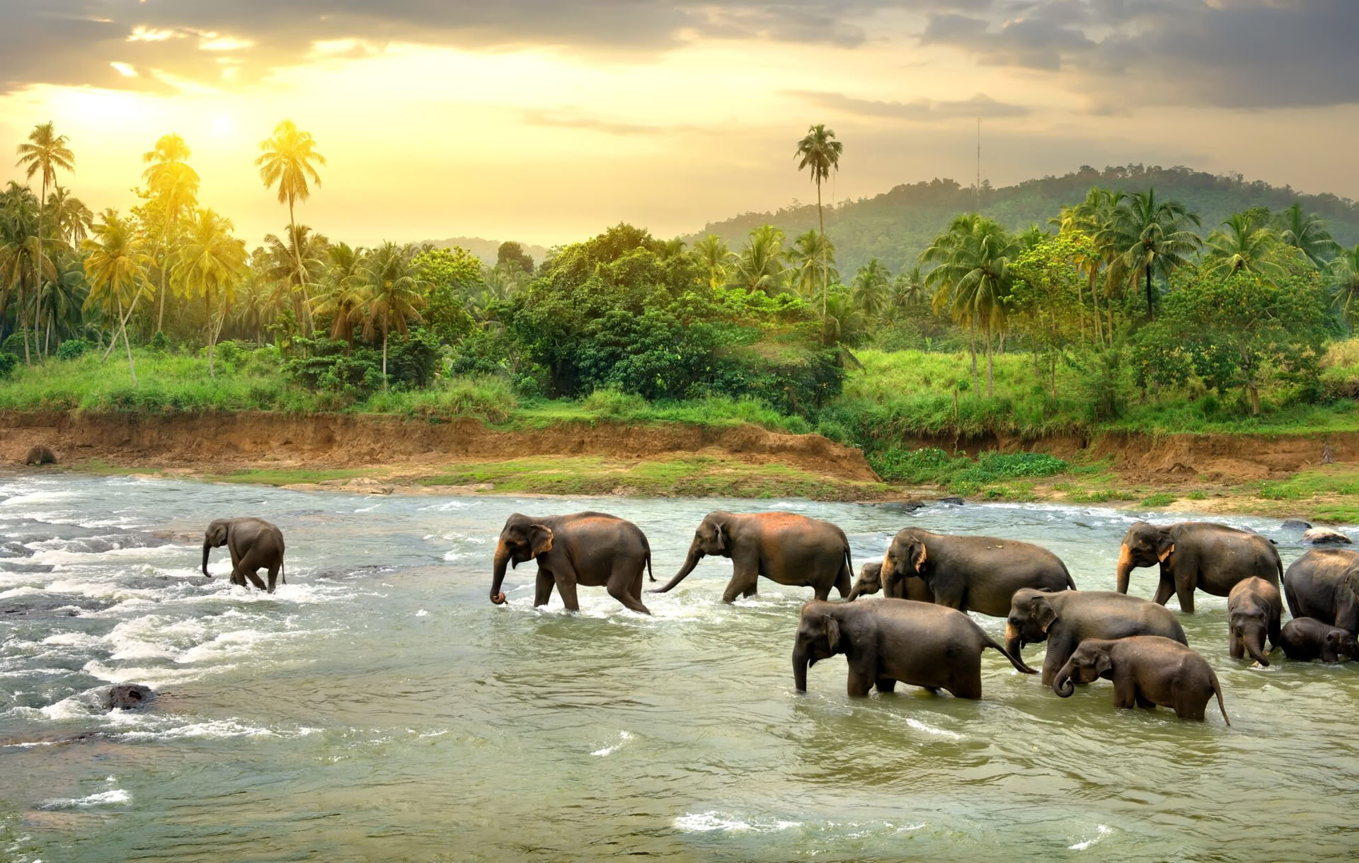 Tranquil Trails: Bliss in Sri Lanka in 7 giorni! Yoga, Meditazione, Cultura, Natura