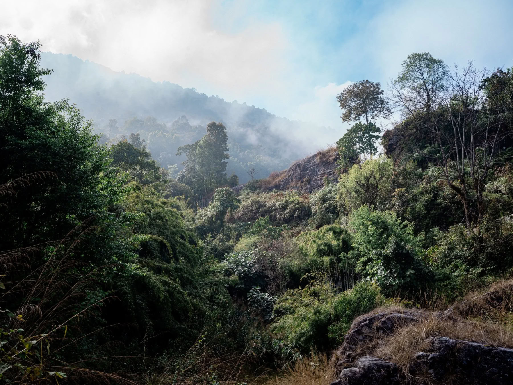 4D/3N Ritiro di meditazione sonora e natura