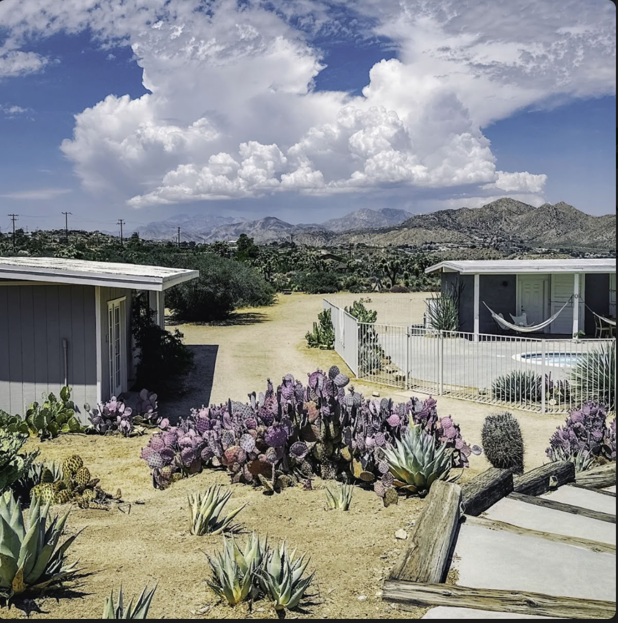 Cactus Moon :: Il Ritorno con Liz e Megan