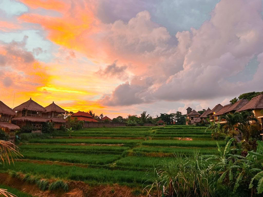 200 Ore di Formazione Insegnanti di Yoga Ubud, Bali | Corso RYT 200 – 30 Ago - 19 Set