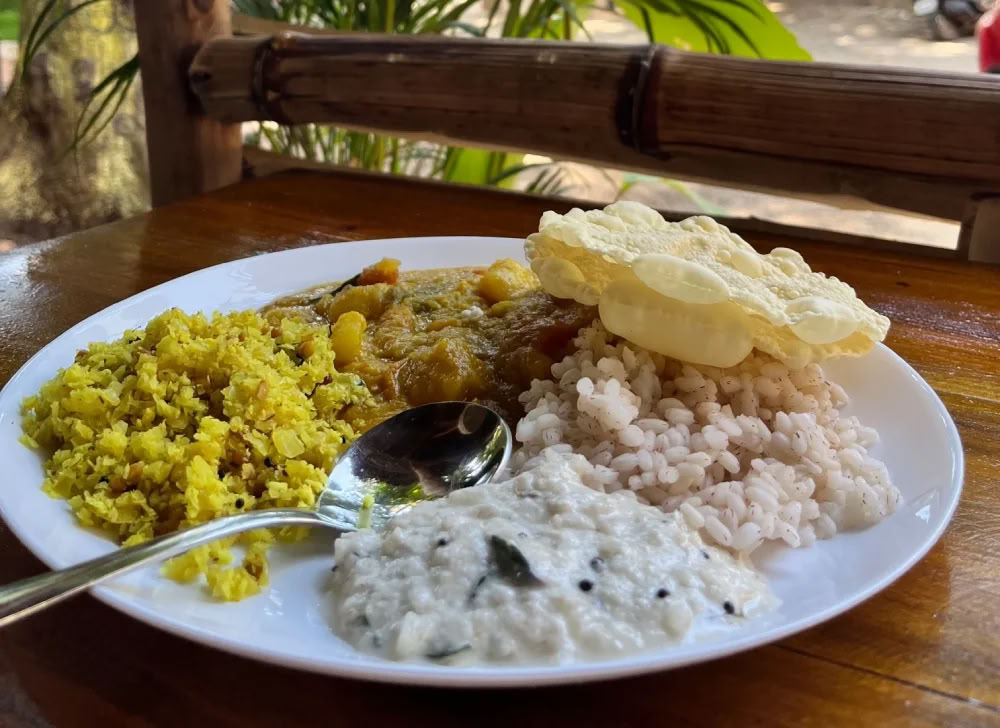 14 Giorni di Risveglio Spirituale e Ritiro di Yoga a Varkala, Kerala