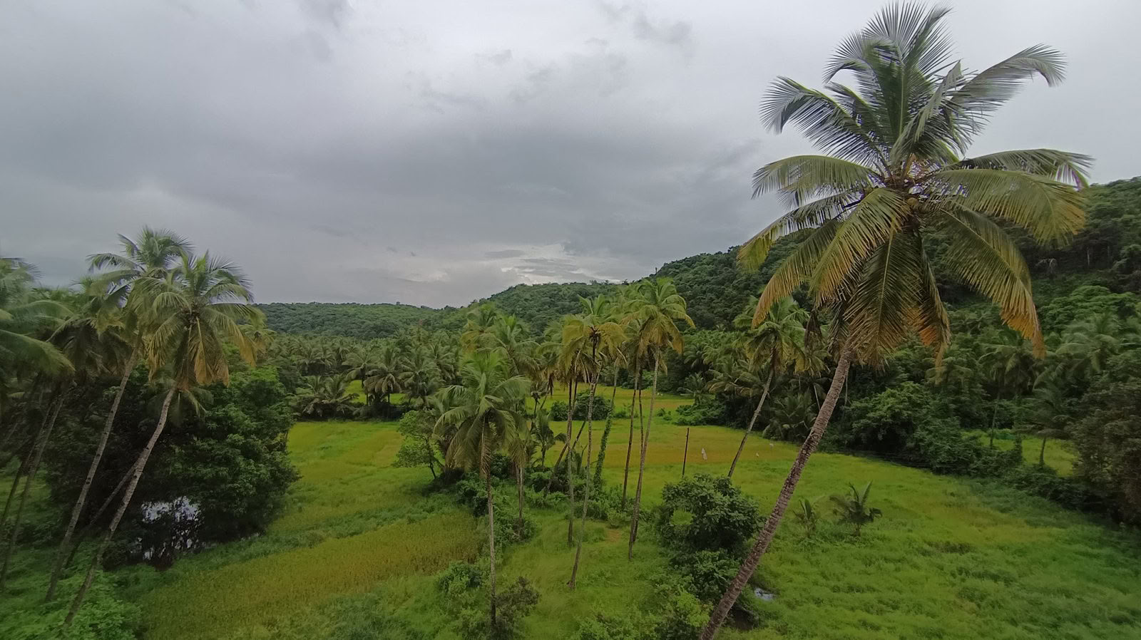 Corso di formazione avanzata insegnanti di Tantra e Kundalini Yoga di 100 ore a Goa, India