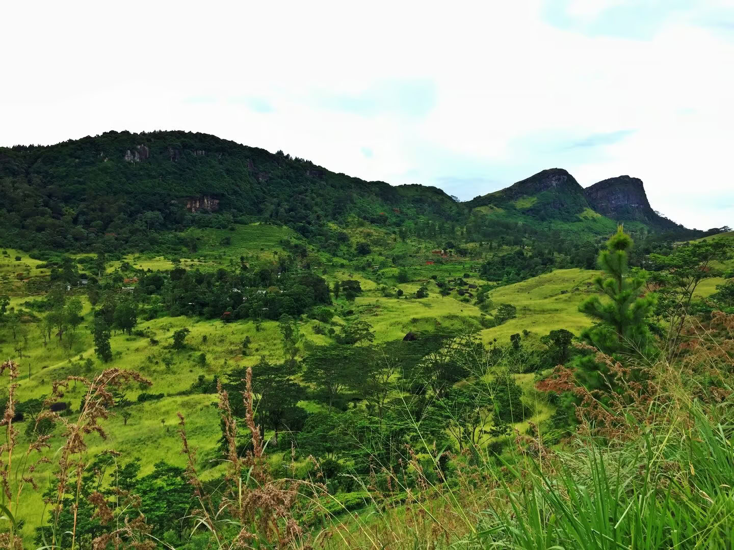 Yoga, Viaggi e Ayurveda in Sri Lanka: Un'avventura per l'anima