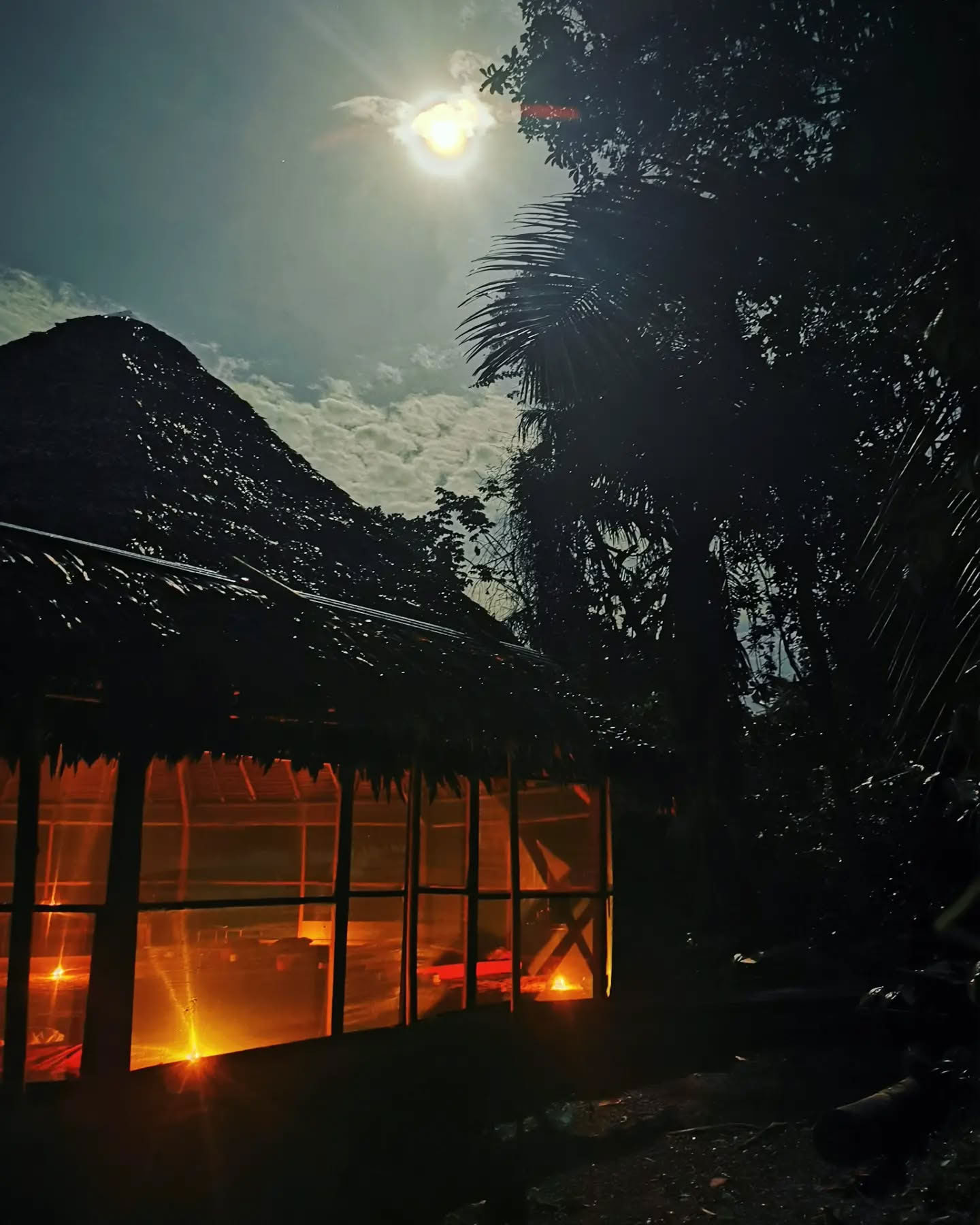 7 giorni di ritiro di Ayahuasca
