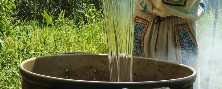 7 giorni di ritiro di Ayahuasca
